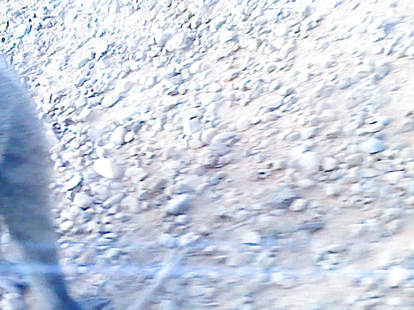 DSC00939.JPG