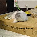 DSC00472_調整大小.JPG