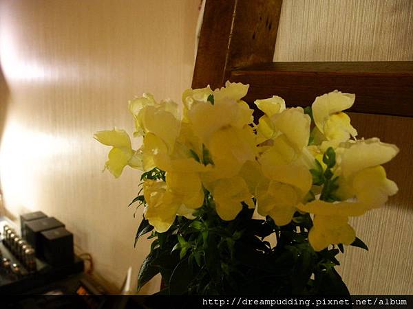 沒有名字的咖啡館