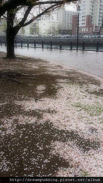 20150408_104729.JPG 20150408_104729.JPG