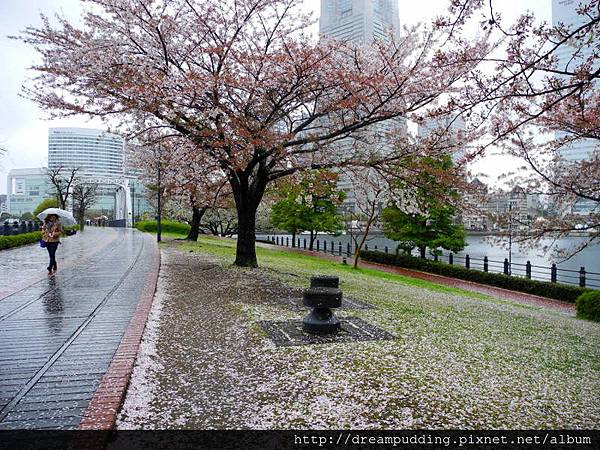 DSCN0220.JPG DSCN0220.JPG