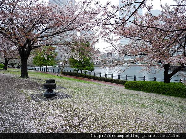 DSCN0221.JPG DSCN0221.JPG