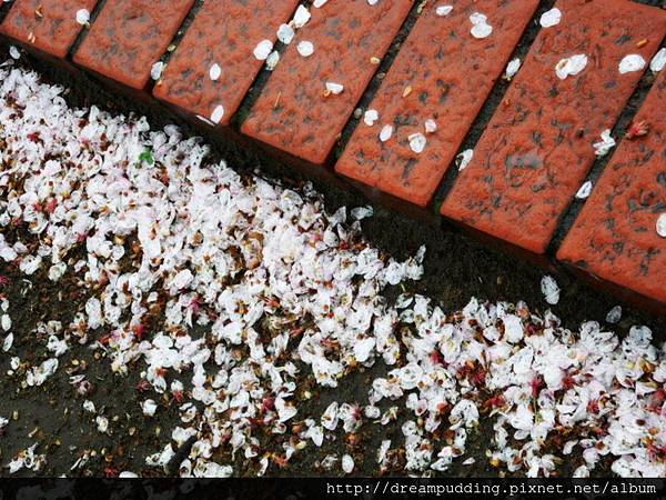 DSCN0227.JPG DSCN0227.JPG