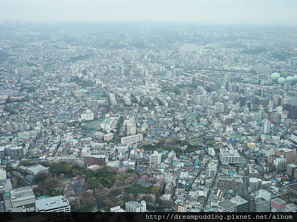 DSCN0337.JPG DSCN0337.JPG