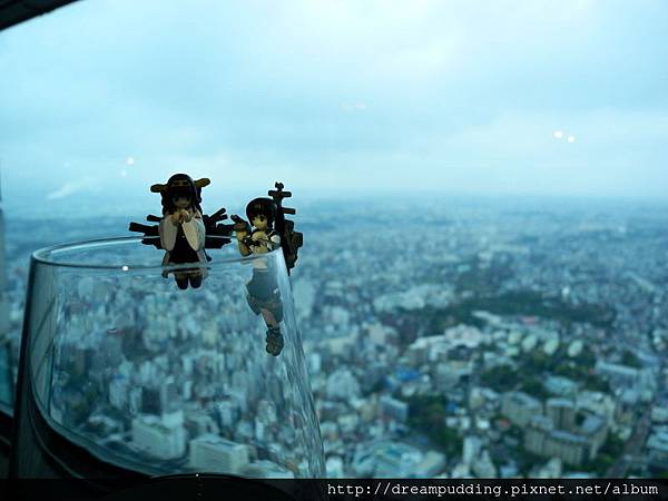 DSCN0373.JPG DSCN0373.JPG