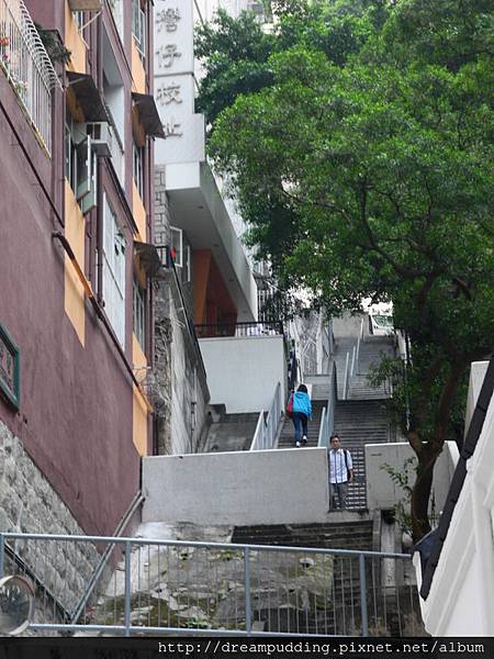 DSCN4178.JPG DSCN4178.JPG