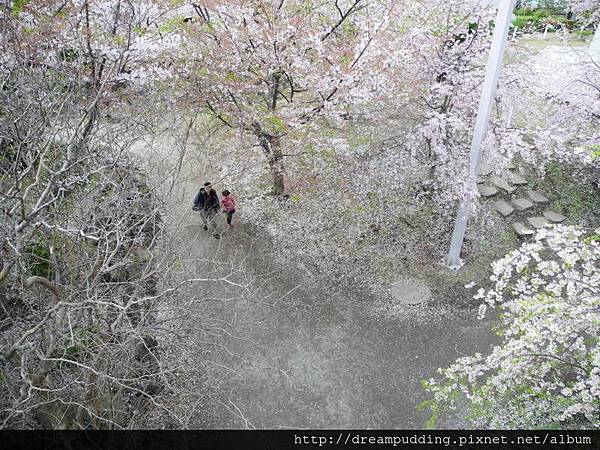 DSCN0692.JPG DSCN0692.JPG