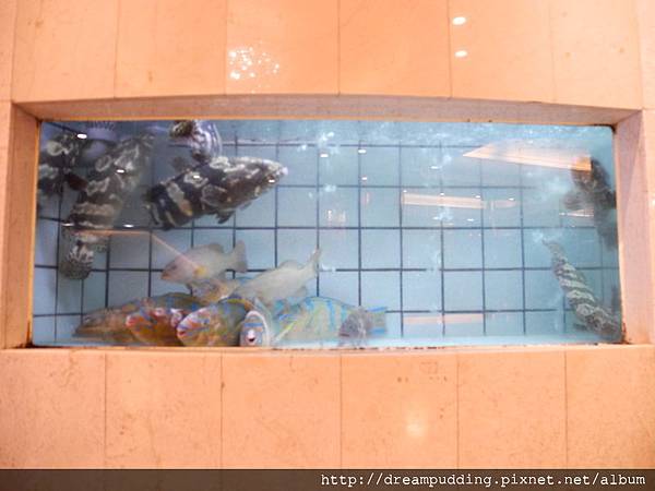 DSCN5004.JPG DSCN5004.JPG