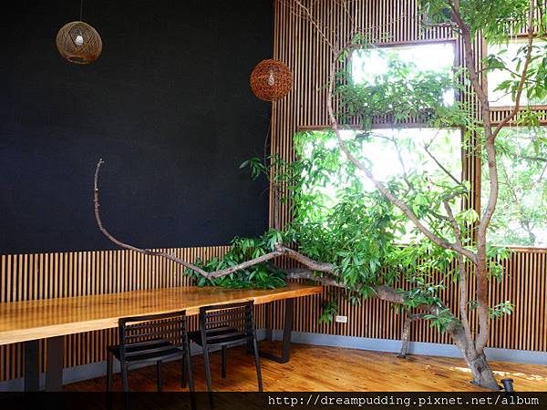 DSCN6323.JPG DSCN6323.JPG