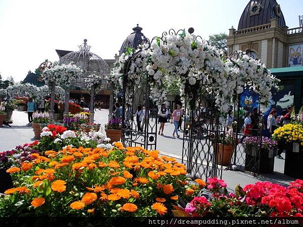 DSCN1627.JPG DSCN1627.JPG