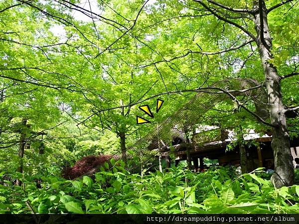 DSCN1659.JPG DSCN1659.JPG