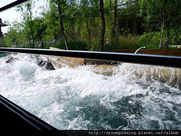 DSCN1667.JPG DSCN1667.JPG