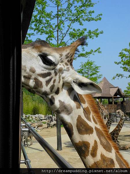 DSCN1682.JPG DSCN1682.JPG