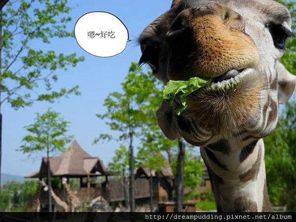 DSCN1683.JPG DSCN1683.JPG