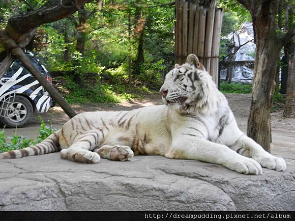 DSCN1699.JPG DSCN1699.JPG