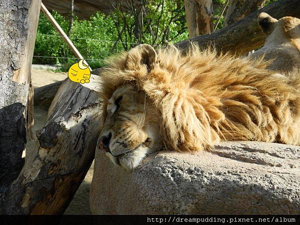 DSCN1703.JPG DSCN1703.JPG