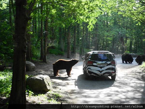 DSCN1714.JPG DSCN1714.JPG