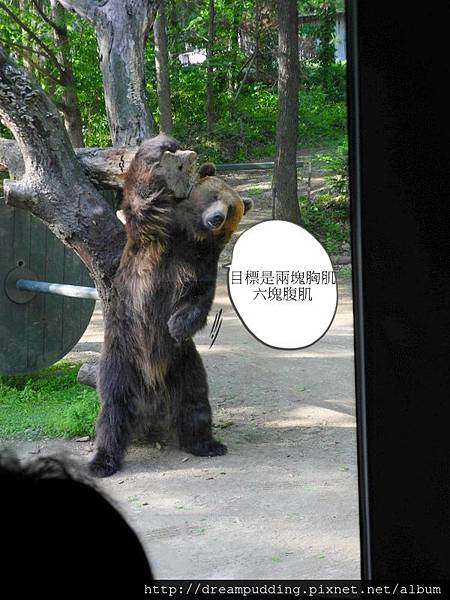 DSCN1728.JPG DSCN1728.JPG