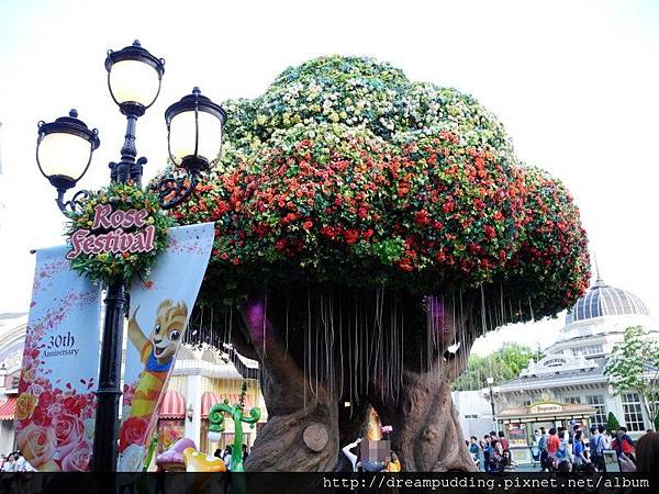 DSCN1750.JPG DSCN1750.JPG