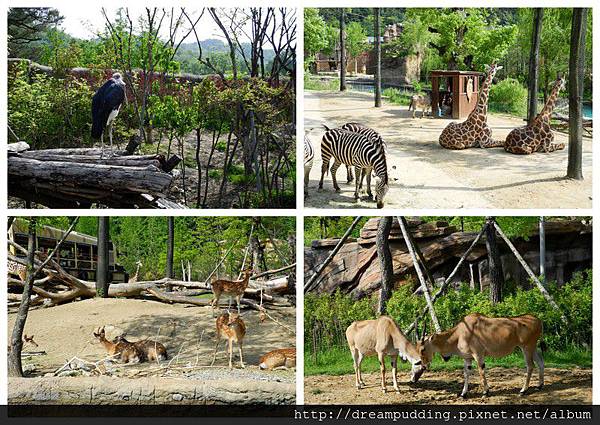 愛寶樂園4.jpg