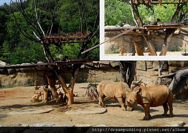 愛寶樂園5.jpg 愛寶樂園5.jpg