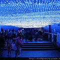 DSCN8991.JPG