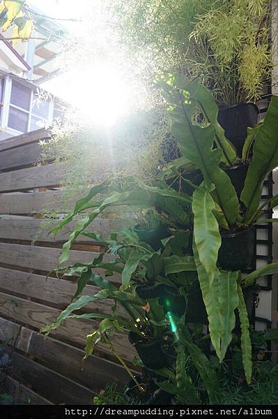 DSC00261.JPG DSC00261.JPG