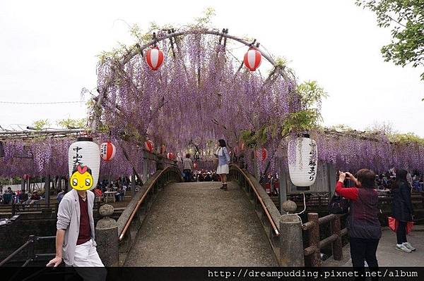 DSC04537.JPG DSC04537.JPG