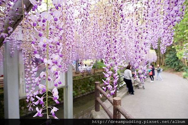 DSC04544.JPG DSC04544.JPG