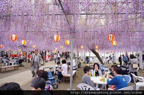 DSC04574.JPG DSC04574.JPG