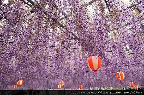 DSC04575.JPG DSC04575.JPG