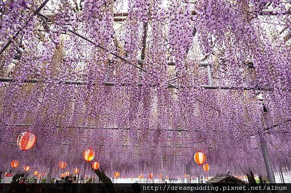 DSC04577.JPG DSC04577.JPG