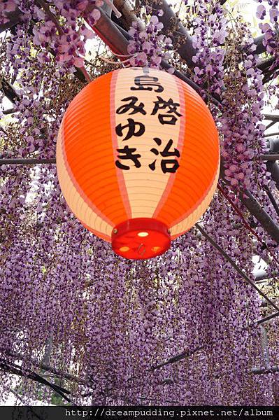 DSC04580.JPG DSC04580.JPG