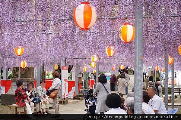 DSC04587.JPG DSC04587.JPG