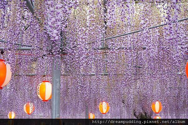 DSC04588.JPG DSC04588.JPG