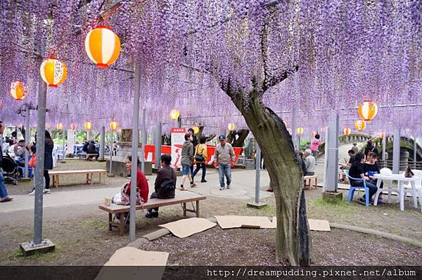 DSC04601.JPG DSC04601.JPG