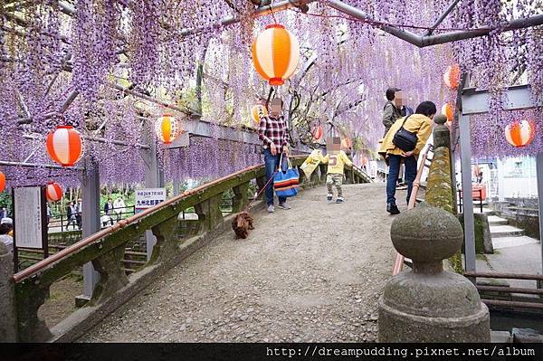 DSC04606.JPG DSC04606.JPG