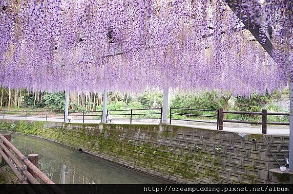 DSC04613.JPG DSC04613.JPG