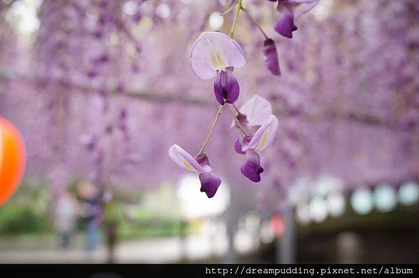 DSC04632.JPG DSC04632.JPG