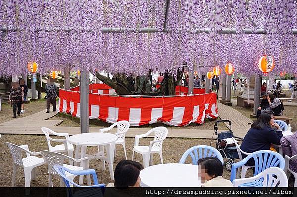 DSC04635.JPG DSC04635.JPG