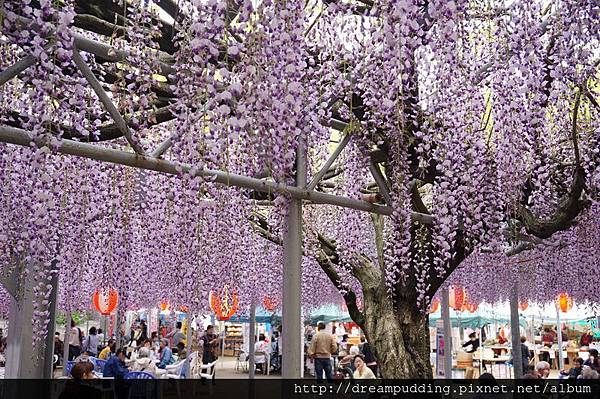 DSC04636.JPG DSC04636.JPG