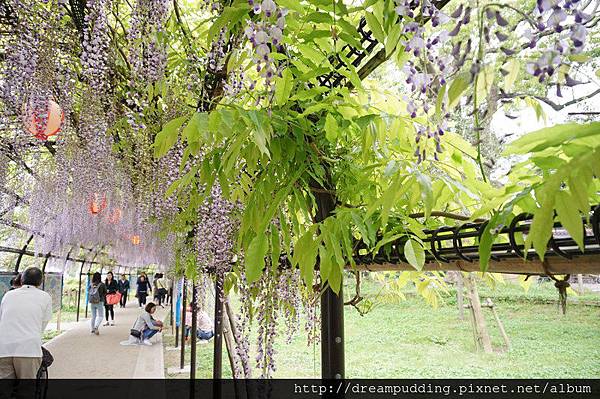 DSC04642.JPG DSC04642.JPG