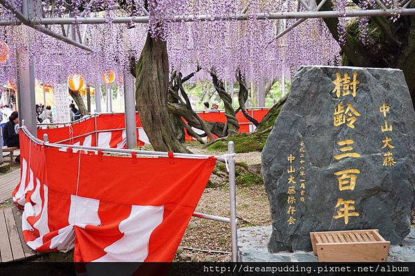 DSC04659.JPG DSC04659.JPG