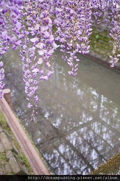 DSC04664.JPG DSC04664.JPG