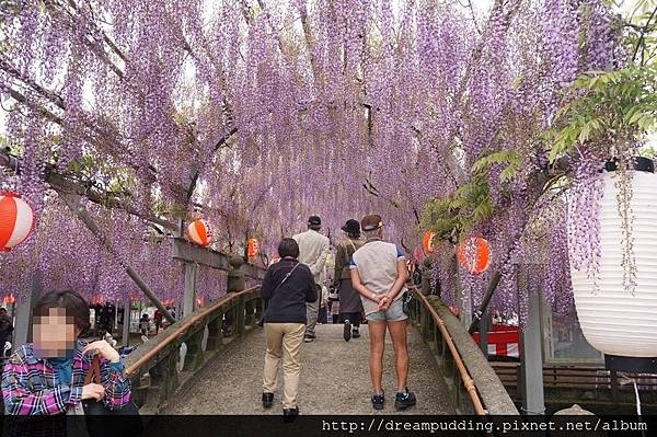 DSC04679.JPG DSC04679.JPG