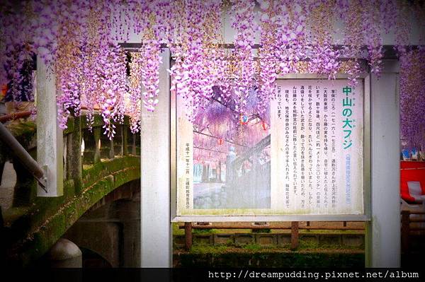 DSC04682.JPG DSC04682.JPG