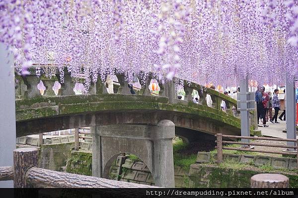 DSC04683.JPG DSC04683.JPG