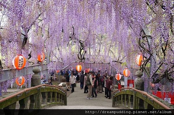 DSC04703.JPG DSC04703.JPG