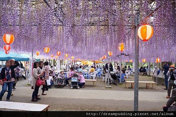 DSC04706.JPG DSC04706.JPG