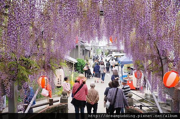 DSC04739.JPG DSC04739.JPG